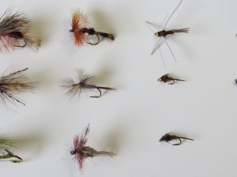 Dry Dropper Trout Fly Pack