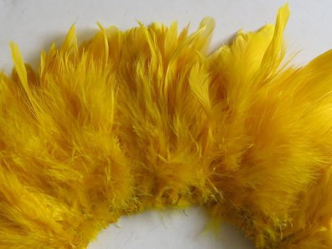 Gold strung schlappen feathers closeup