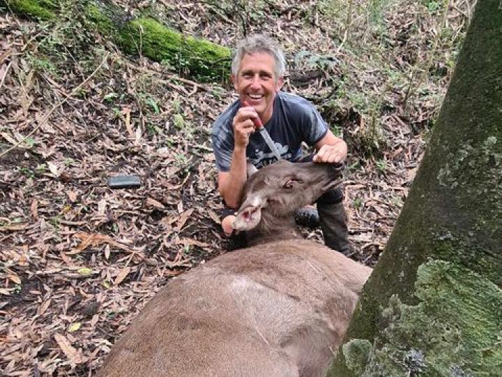 Anywhere in the eye will do!