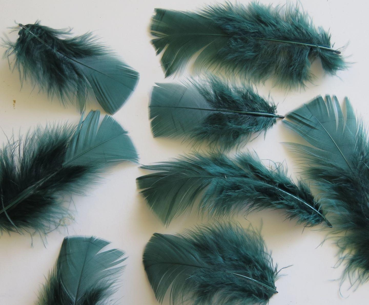 Emerald Green Turkey Plumage Feathers - Feathergirl