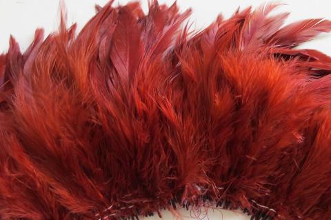 Teal Turkey Plumage Feathers - Feathergirl