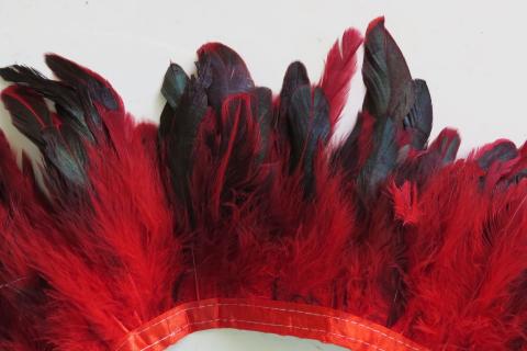 Copper and Green Banded Schlappen Feathers Dyed Red