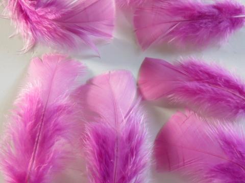 Red Turkey Plumage Feathers - Feathergirl