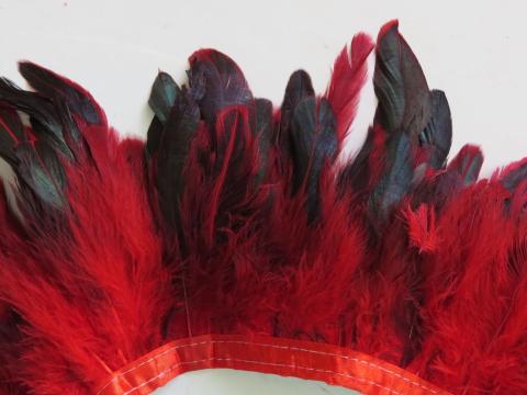 Copper and Green Banded Schlappen Feathers Dyed Red