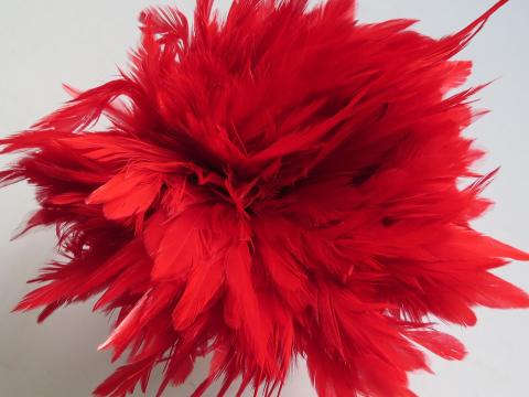 Red Strung Schlappen Feathers Bulk