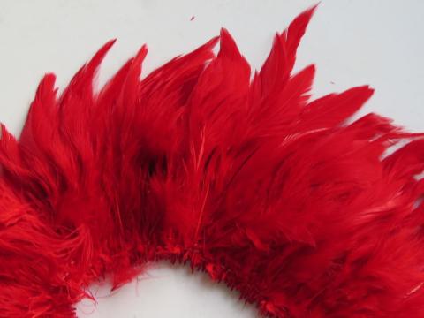 Red Strung Schlappen Feathers Closeup