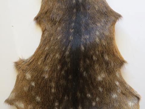 Fallow Deer Hair