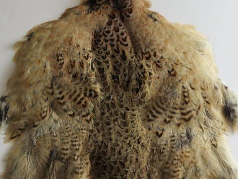 Hen Pheasant Pelt