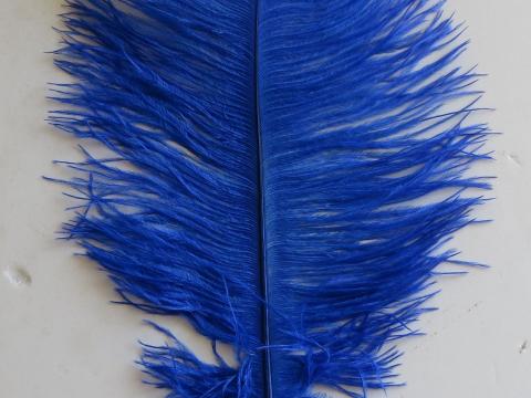 Royal Blue Ostrich Plume 35 cm