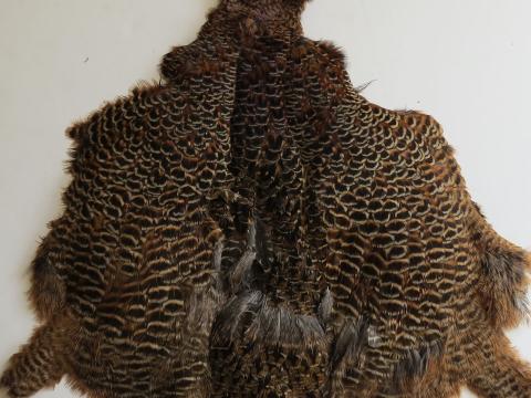 Second grade melanistic hen pheasant pelt example