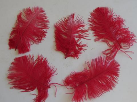 Red Ostrich Drab Feathers