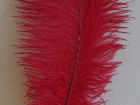 Red Ostrich Plume 35 cm closeup