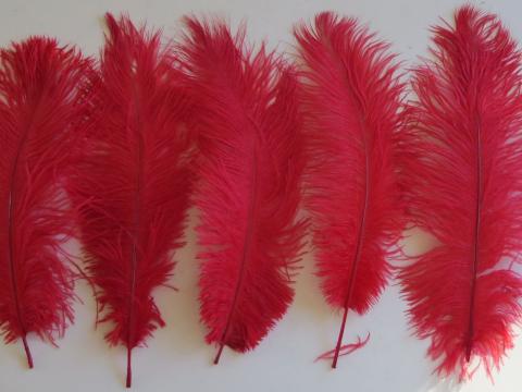 Red Ostrich Plumes 35 cm bulk