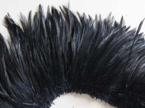 Black Rooster Hackle Strung Feathers Closeup