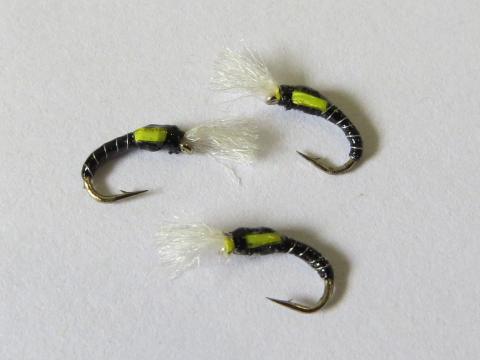 Chironomid Buzzer Fly