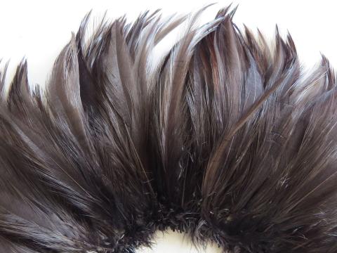 dark-chocolate-brown-rooster-hackle-strung-closeup