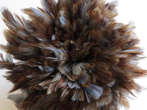 grey-ginger-rooster-schlappen-strung-bulk