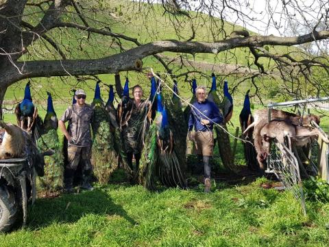 The haul to take home Sunday