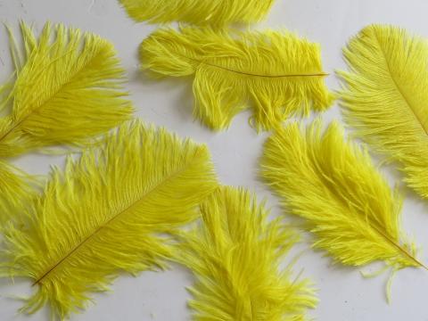 yellow-ostrich-drabs