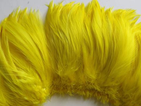 yellow-rooster-hackle-strung-closeup