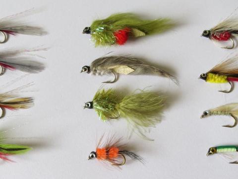 Short Shank Jigging Trout Fly Pack