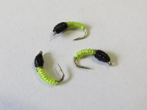 Bright green willow grub