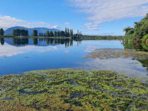 A glassy morning on Aniwhenua