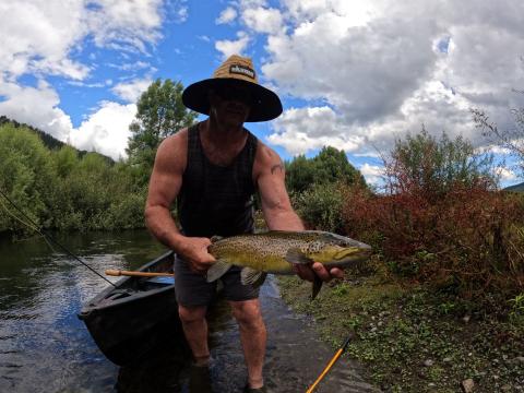 Brown on a Goddard Caddis Dry Fly