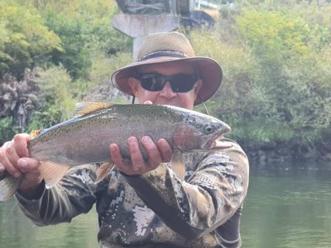 Brown Beetle Dry Fly