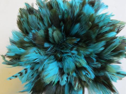 Aqua caramel cream strung schlappen feathers bulk