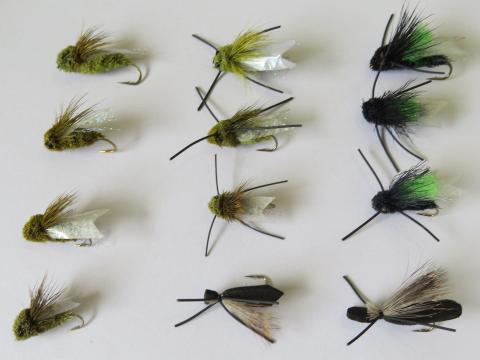 Cicada Dry Fly Pack