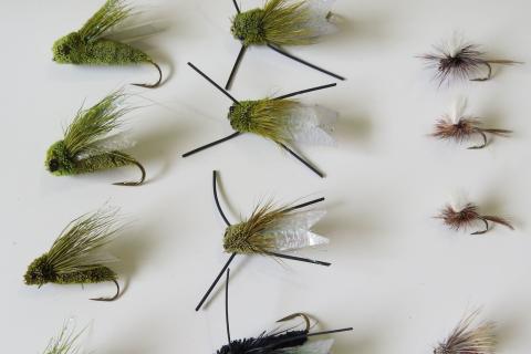 BOP Summer Dry Fly Pack